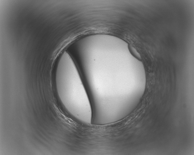 X0000059040194200510070834