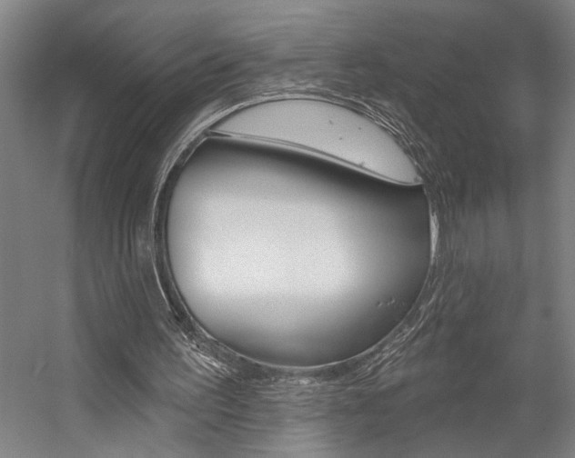 X0000059040195200510070834