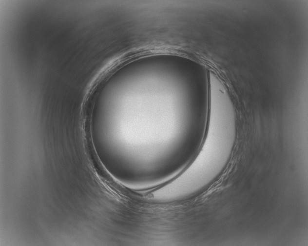X0000059040197200510070834