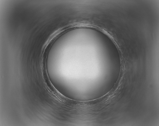 X0000059040199200510070834