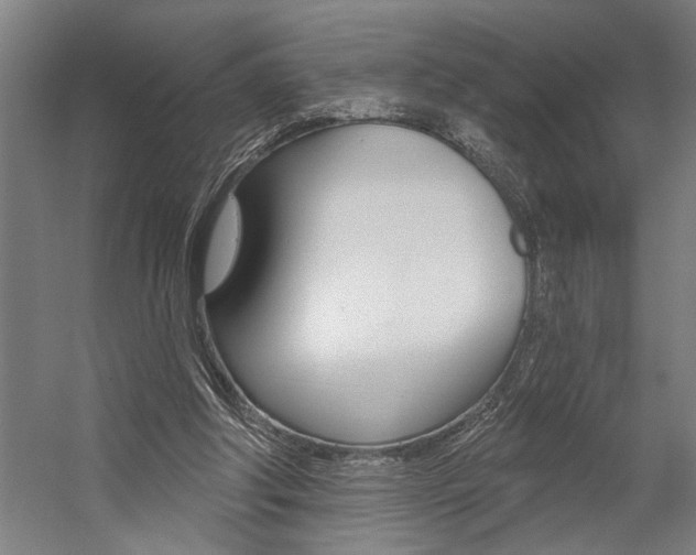 X0000059040202200510070834