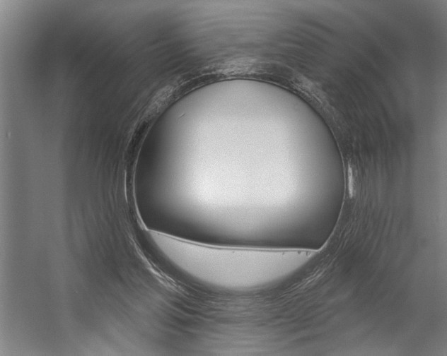 X0000059040205200510070834