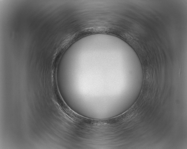 X0000059040206200510070834