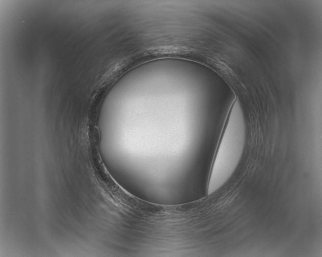 X0000059040207200510070834