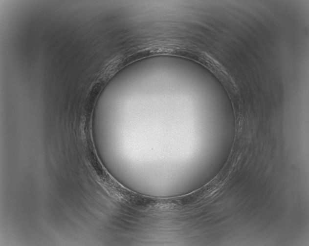 X0000059040209200510070834