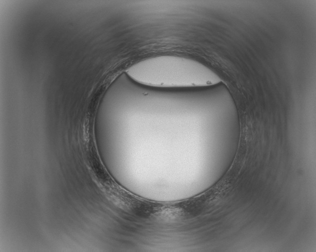 X0000059040210200510070834