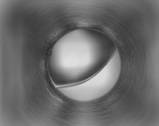 X0000059040211200510070834