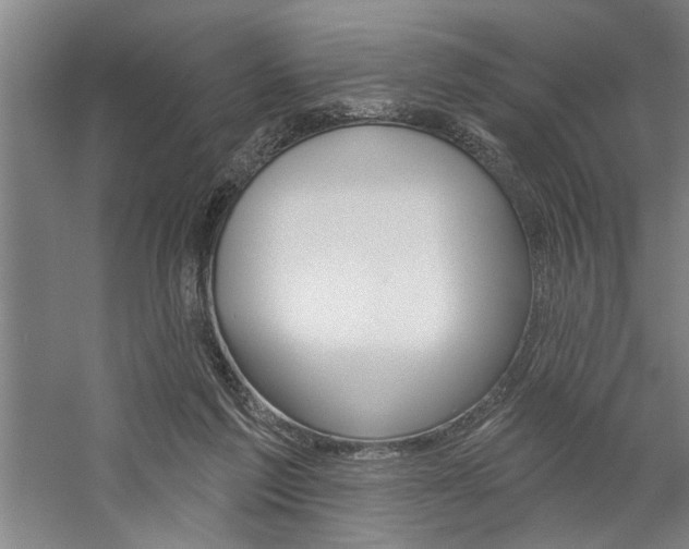 X0000059040213200510070834