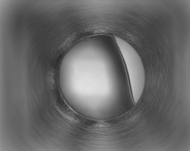 X0000059040215200510070834