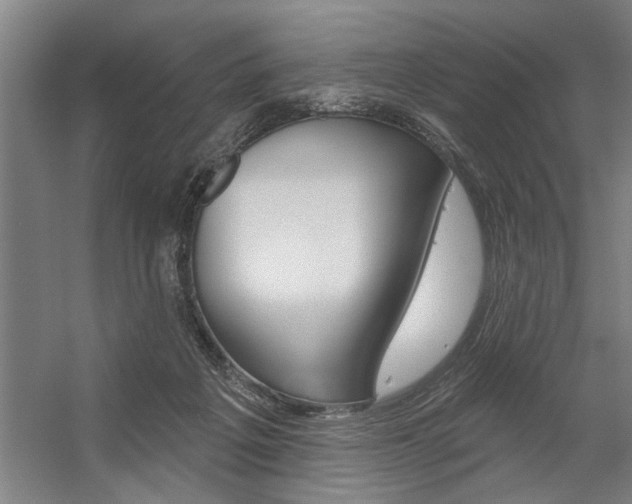 X0000059040217200510070833