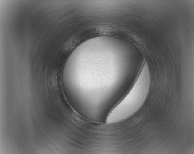 X0000059040221200510070833