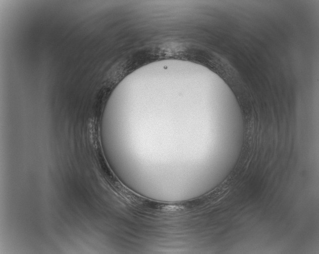 X0000059040222200510070833