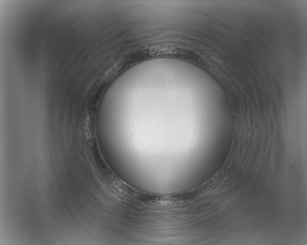 X0000059040224200510070833