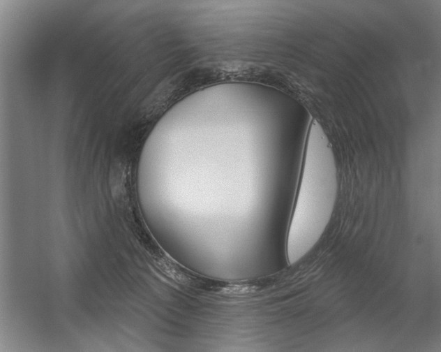 X0000059040225200510070833