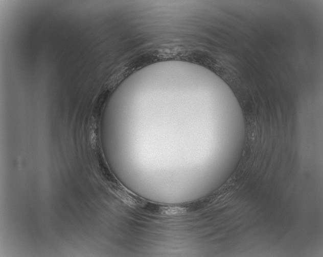 X0000059040226200510070833