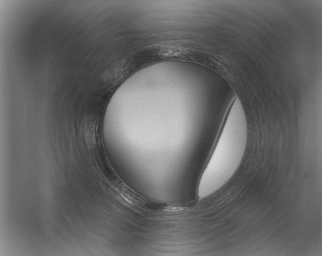 X0000059040227200510070833