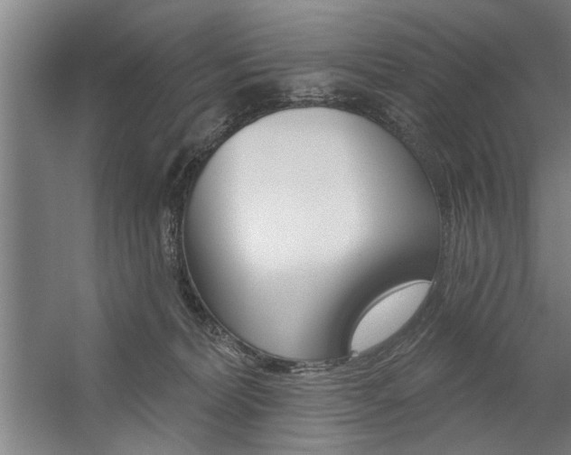 X0000059040228200510070833