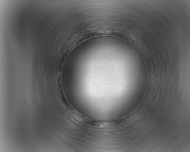 X0000059040229200510070833