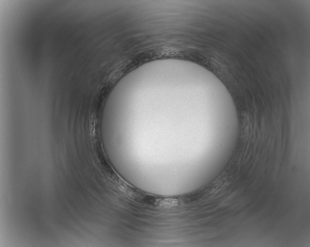 X0000059040230200510070833