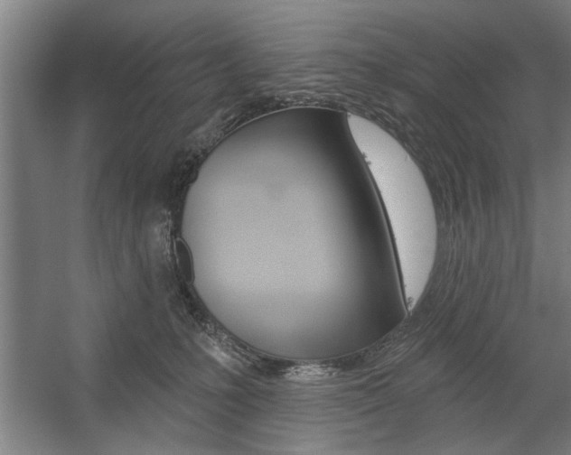 X0000059040231200510070833