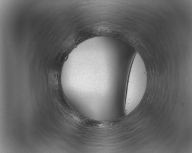 X0000059040232200510070833