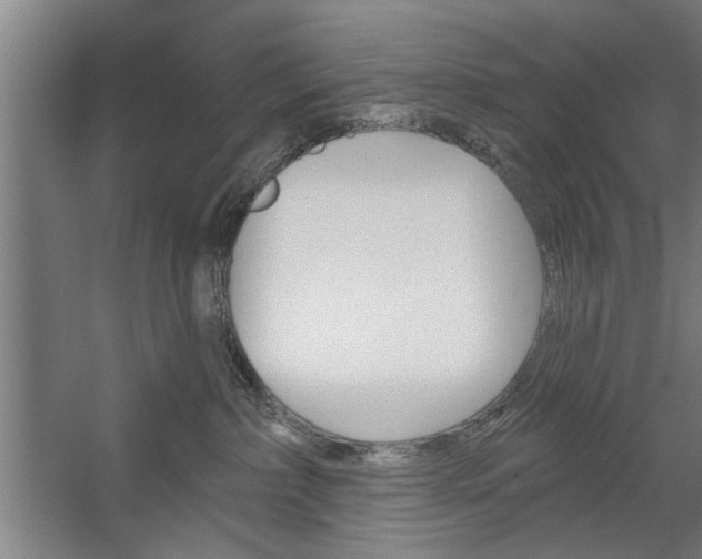 X0000059040236200510070833