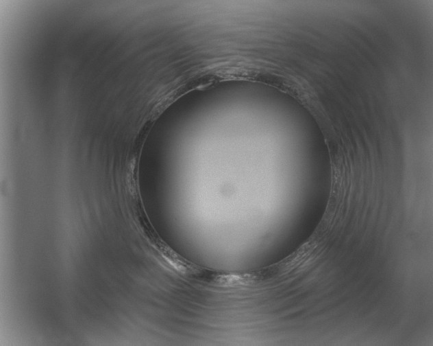 X0000059040239200510070833