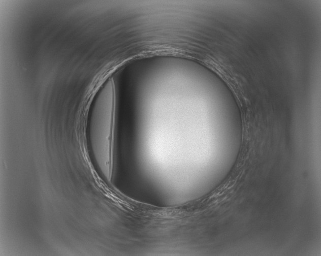 X0000059040241200510070832