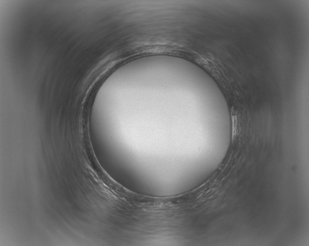 X0000059040243200510070832