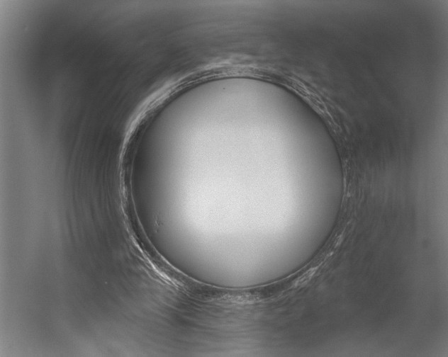X0000059040245200510070832