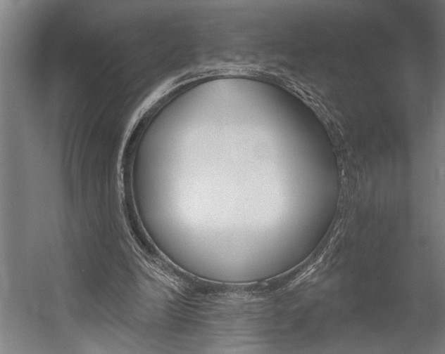 X0000059040246200510070832