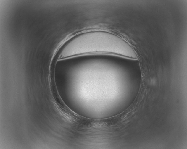 X0000059040248200510070832