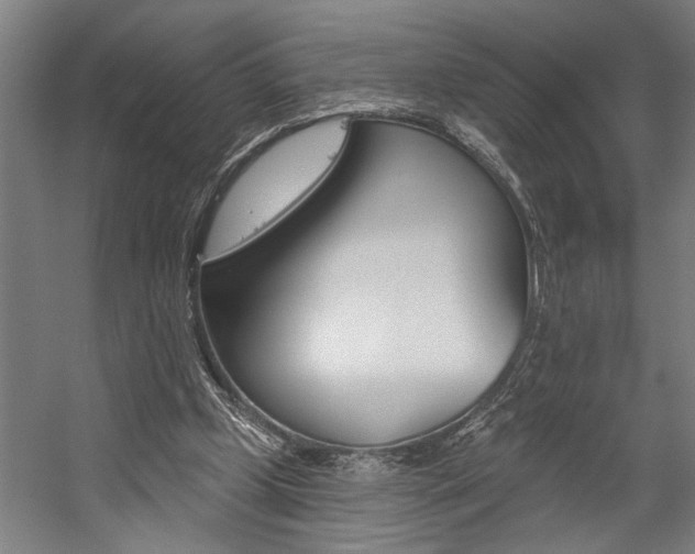 X0000059040249200510070832