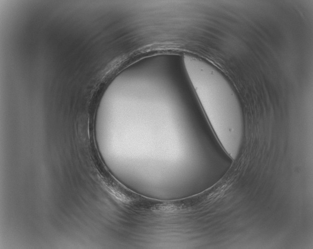 X0000059040253200510070832