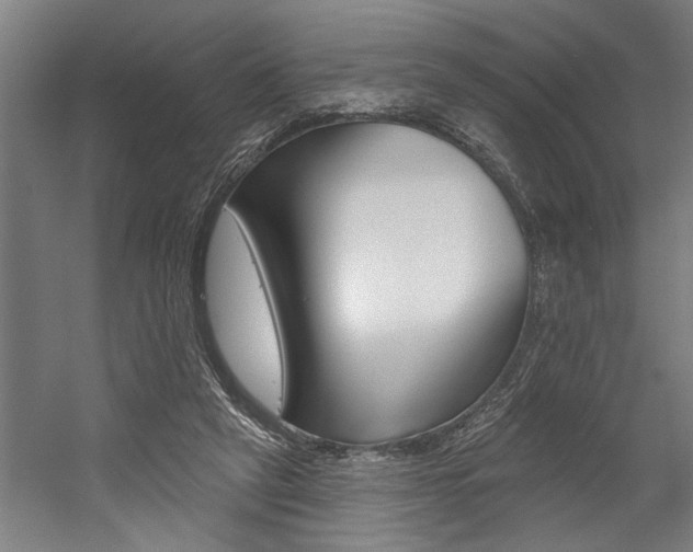 X0000059040257200510070833