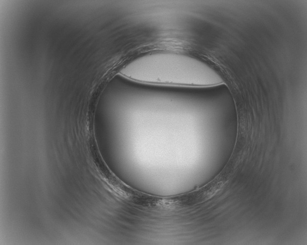 X0000059040261200510070833