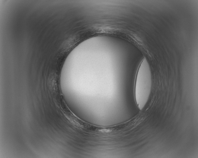 X0000059040265200510070833