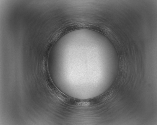 X0000059040266200510070833