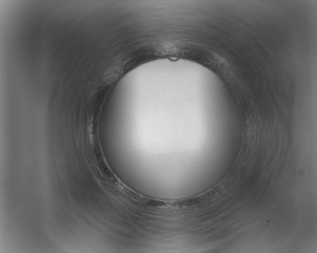 X0000059040267200510070833
