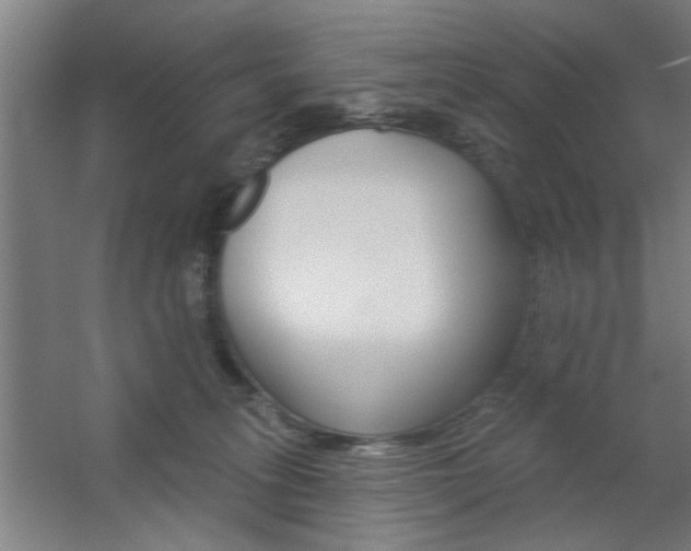 X0000059040275200510070833