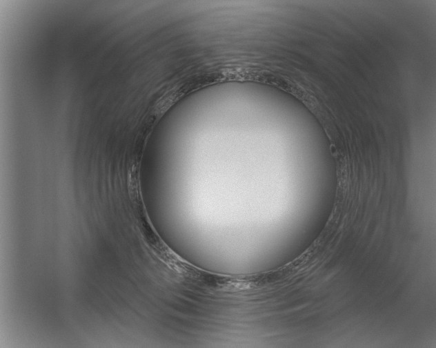X0000059040276200510070833
