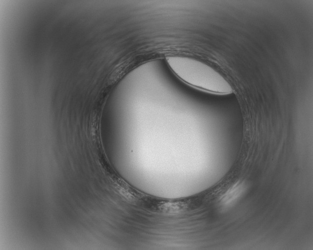 X0000059040277200510070833