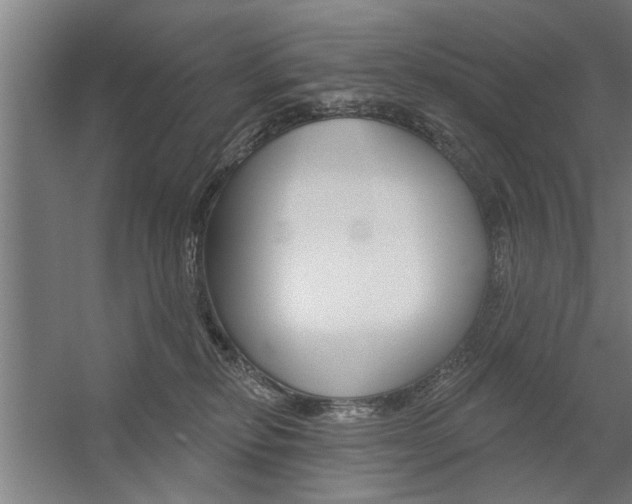 X0000059040278200510070833