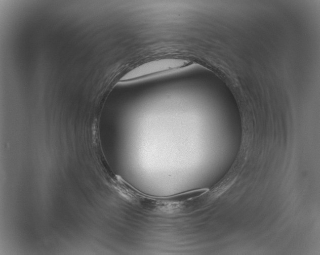X0000059040288200510070833