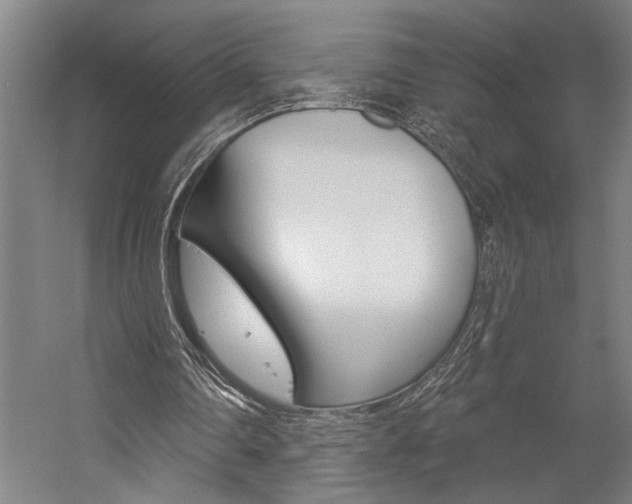 X0000059040290200510070832