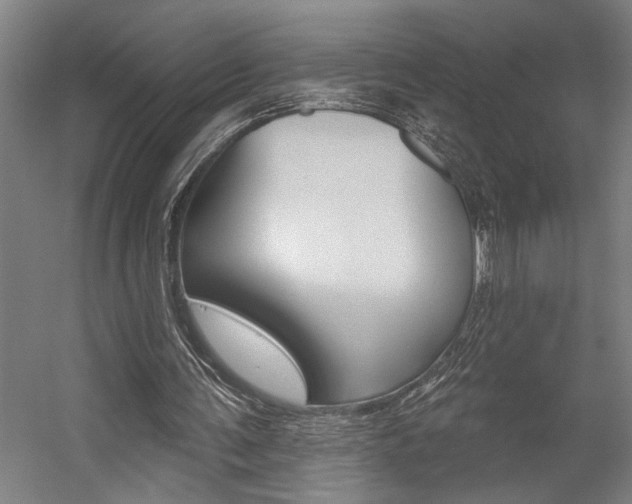 X0000059040291200510070832