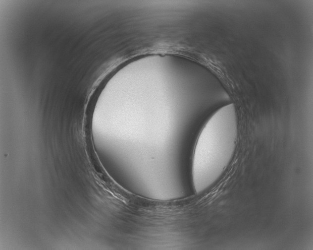 X0000059040292200510070832