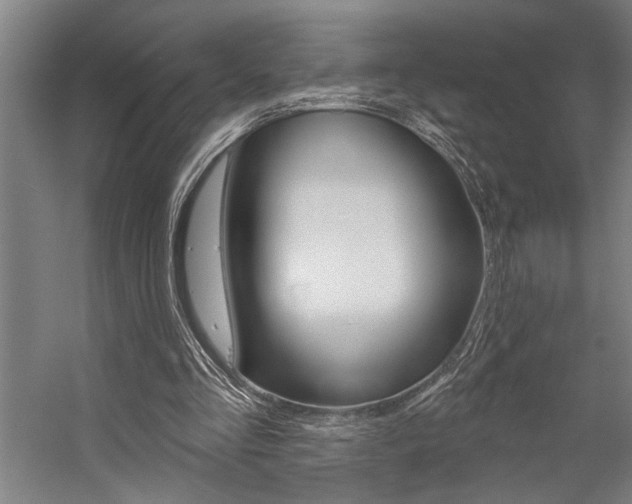X0000059040293200510070832