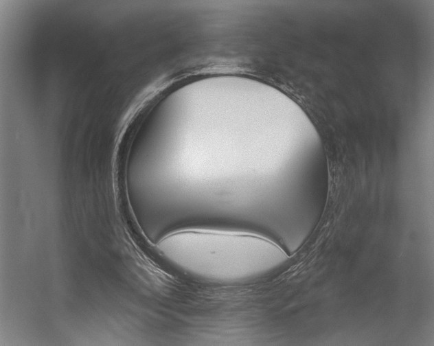 X0000059040296200510070832