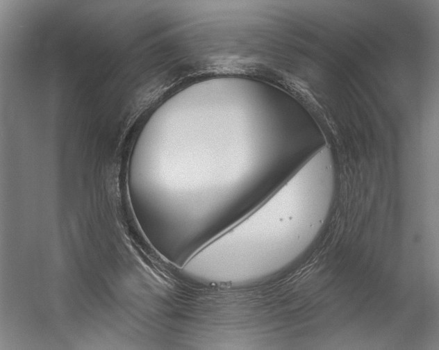X0000059040299200510070832